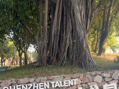 -深圳人才公园