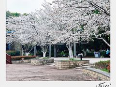 -玉山公园