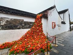 -青果巷历史文化街区