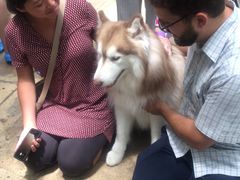 -TrueLove @ Neverland (Husky Cafe)