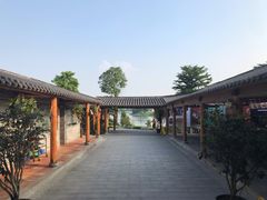 -顺德了能馆(虎门店)