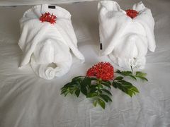 -三亚亚龙湾雅高铂尔曼别墅度假酒店