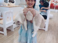 -李小姐の猫咖啡馆(五角场店)