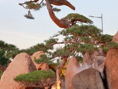 -罗红摄影艺术馆