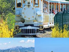 -巧克力渔家.小船海鲜家常菜(万平口店)