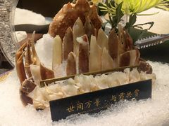 -揽季锅物会.福建黄鱼.海鲜姿造(五四路店)