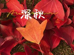 -重庆平顶山公园