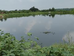 -天龙湖公园