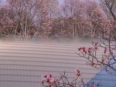 -东华门大街小区