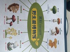 -菌彩云南野生菌火锅(呈贡七彩云南第壹城店)