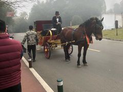 -成都蒲江花样年福朋喜来登度假酒店·宜客乐西餐厅