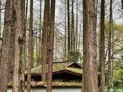 -柳莺湖上·湖景餐厅·江南菜(西湖店)
