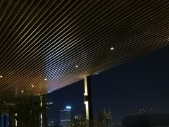 -四季酒店·空中花园 Aria on 9