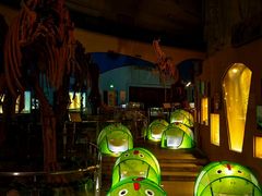 -陕西自然博物馆