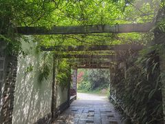 -龙寺生态园