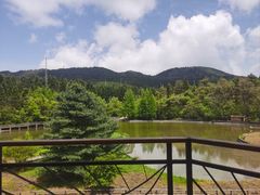 -武陵山森林公园