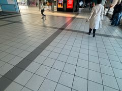 -福林德街火车站