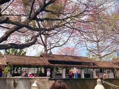 -喜洲吧·江畔老船厂·庭院餐厅(喜临院店)