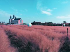 -鹅湖玫瑰文化园