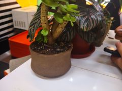 -前进5路汉堡炸鸡(前进五路店)