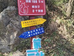 -秦岭终南山世界地质公园翠华山景区