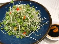 -望乡楼上海菜(日月光店)