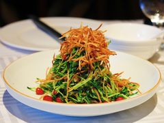 巧拌豆苗-四季民福烤鸭店(王府井灯市口店)