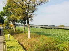 -阳澄湖半岛旅游度假区