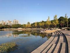-新江湾城公园