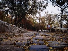 -阳台山自然风景区