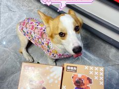 -万达广场(无锡滨湖店)