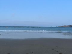 -阿弟特色海鲜餐厅·大排档(平潭店)