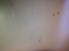 -牧歌KTV(观前店)