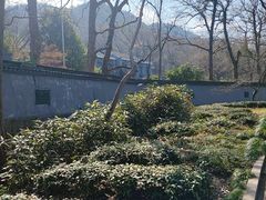 -浙江宾馆·花园餐厅·自助餐厅·茶吧