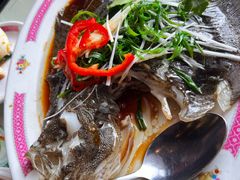 -吴系粤菜馆·茶餐厅(深业上城店)
