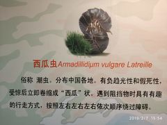 -上海大自然野生昆虫馆(东方明珠·爬宠昆虫探索中心)