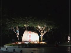 -野狸岛