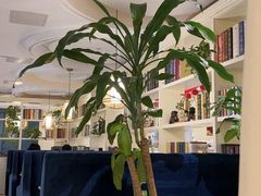 -花舍·新派粤菜·西餐·下午茶(亚运村·鸟巢店)