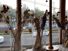 -野草莓自由市场