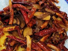-菌之家·专业纯野生菌火锅·特色炒菌