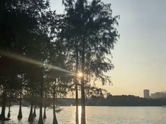 -飞来湖湿地公园