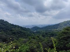 -广州市白云山风景名胜区