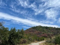 -北京西山国家森林公园