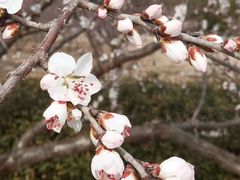 -太阳宫公园
