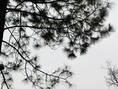 -天鹅湖体育公园