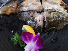 -万岁回转寿司