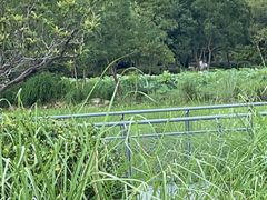 -长广溪湿地公园