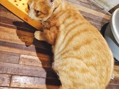 -渔太泰漓江小馆·广西融合菜(西街店)