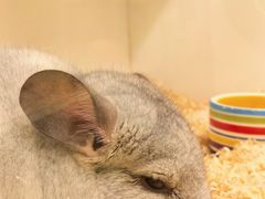 -龙猫仔乐园(惠福东路店)