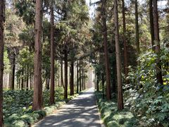 -上海怡沁园度假酒店